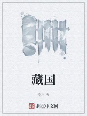藏国仁的框架三层次理论