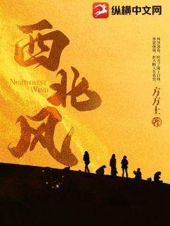 西北风怎样的刮着拟声词