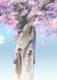 樱花树下是什么意思?