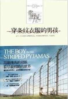 穿条纹衣服的男孩这本书的简介