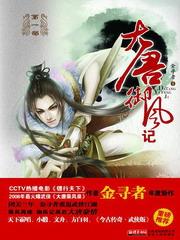 大唐御风记武功排名