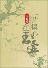一片冰心在玉壶意思是什么