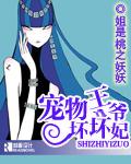 宠物王妃免费阅读