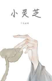 小灵芝的价格