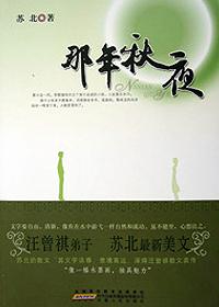 汪曾祺 年