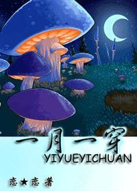 综一月一穿TXT