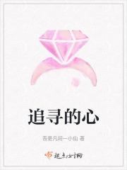 追寻的寻