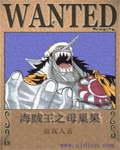 海贼王之母巢果实写的啥