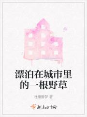 在城市漂泊的句子