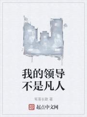 我不是领导我是谁