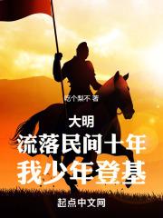 大明流落民间十年我少年登基免费