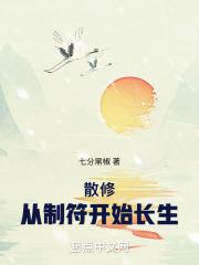 散修从制符开始长生无防盗