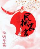 凤栖宸宫讲的什么