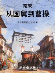 南宋从建国到灭国的经历