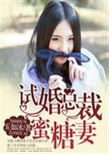 总裁的试婚新妻电视剧