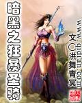 暗黑圣骑士加点攻略