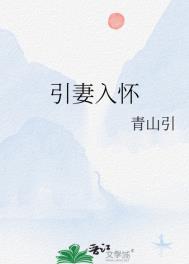 引妻入怀总裁要抱抱
