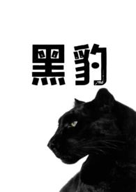 黑豹pnv