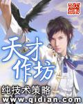天才作坊文清颜