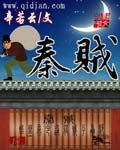 秦贼有道阿龙