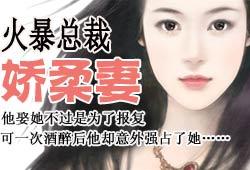 火爆总裁娇柔妻txt书包网