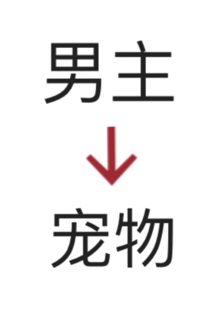 男主变成宠物的日常文