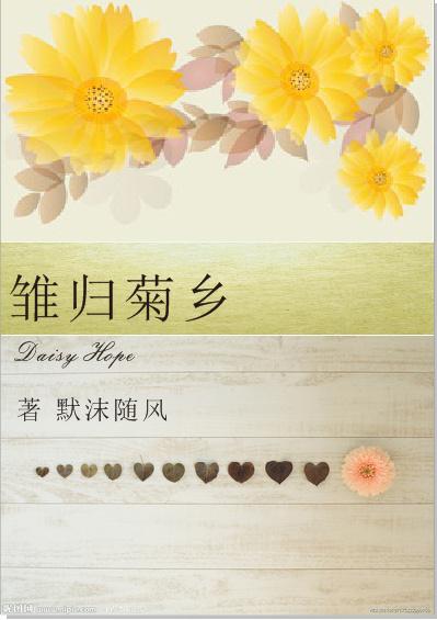 雏菊的作用和功效与作用
