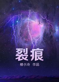 裂痕短剧2023免费观看高清