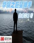 华娱之巨星推手 聚合中文网
