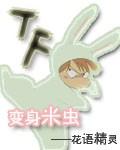 米虫变蛾子的过程视频