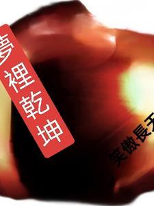 梦里乾坤图片