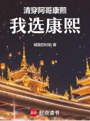 清穿之康熙和阿哥们np
