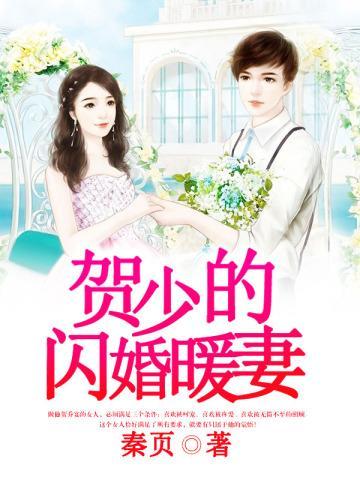 贺少的闪婚暖妻秦以悦亲生儿子