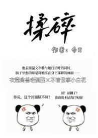 揉碎温柔结局