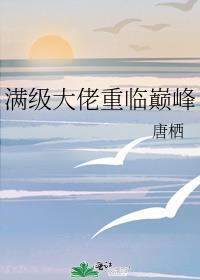 满级大佬重临巅峰百度