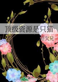 顶级资源是只猫免费阅读