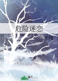 危险迷恋荣瑾
