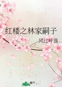 红楼之林家继子