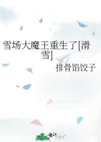 雪场魔毯