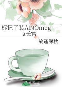 标记了装a的omega长官笔趣阁