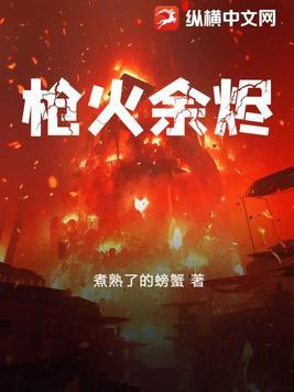 枪火讲的是什么意思
