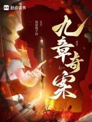 九章奇案txt百度