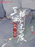 王爷影响我拔剑的速度