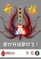 开挂辅助器