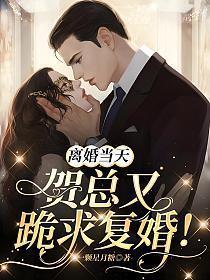 贺总闪婚后
