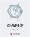 潘森用法