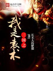 三国英杰传