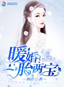 暖婚一胎两宝免费阅读
