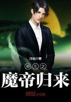 重生之魔帝归来叶玲珑