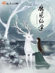 觅仙途手机版